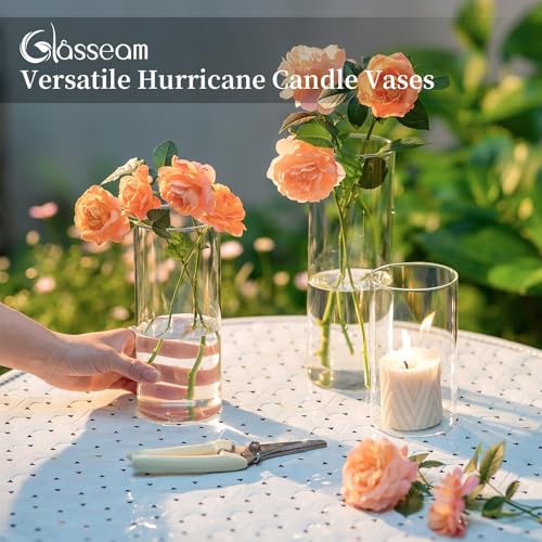 Glass Cylinder Vases Set of 12, Clear Flower Vase, 6in W8499