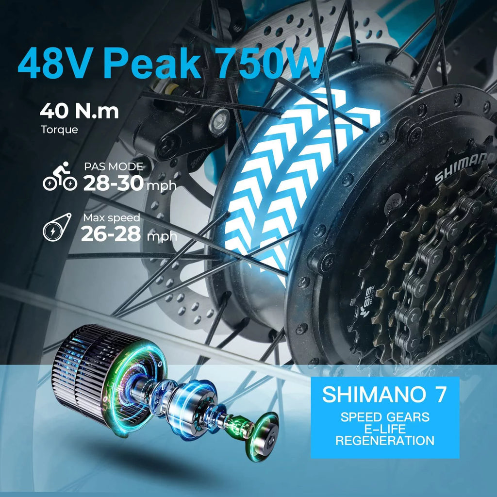 Folding Electric Bike 750W 20 inch Fat Tire 13Ah Black J3299