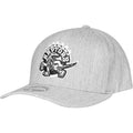 Grey Snapback Cap X5570