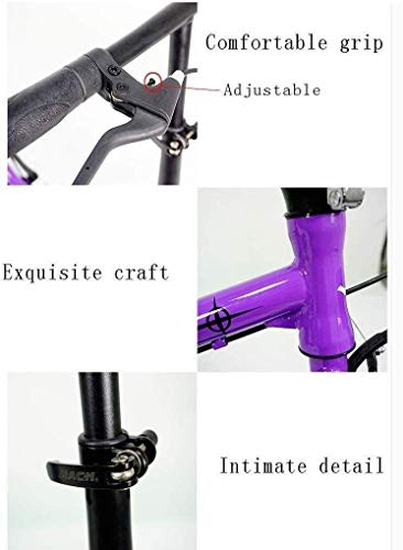 16 inch Portable Lightweight Folding Bicycle G53130