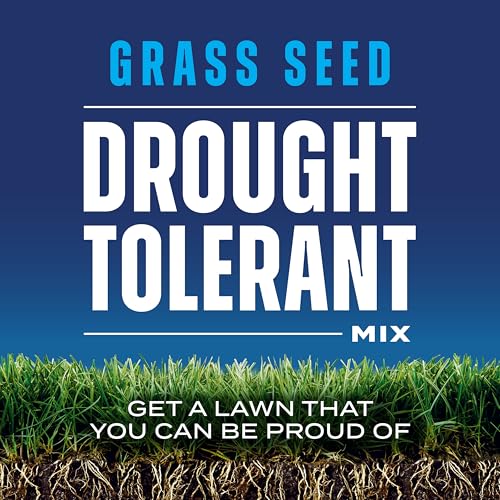 4 lb. Drought Tolerant Grass Seed Mix V8721
