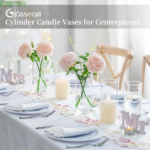 Glass Cylinder Vases Set of 12, Clear Flower Vase, 6in W8499