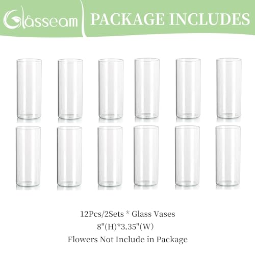 Glass Cylinder Vases Set of 12, Clear Flower Vase, 6in W8499