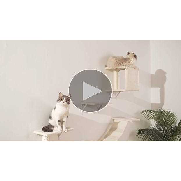5pcs Wooden Cat Wall Shelves and Scratcher D99114