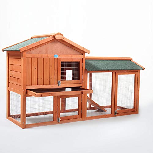 Orange Wooden Rabbit Hutch with Removable Tray & Ramp T58928