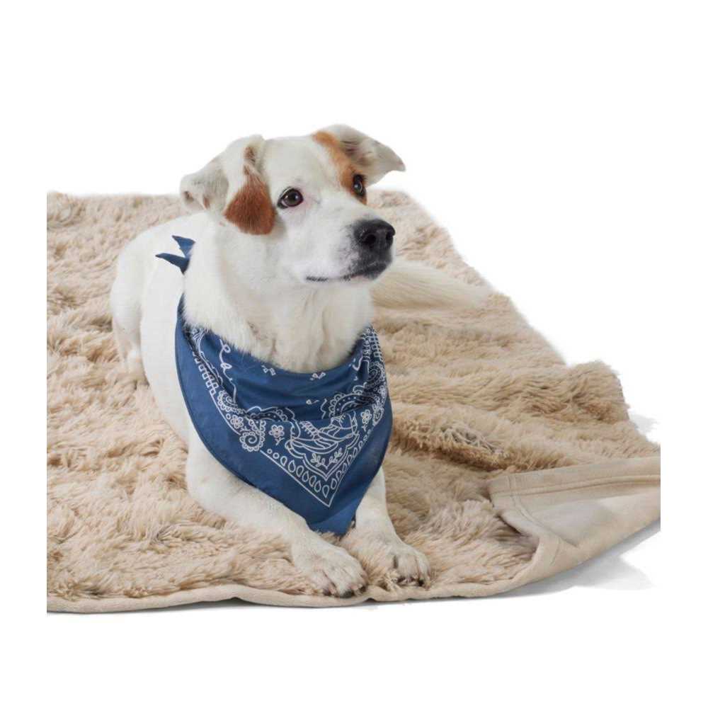 Dog Waterproof Blanket A101