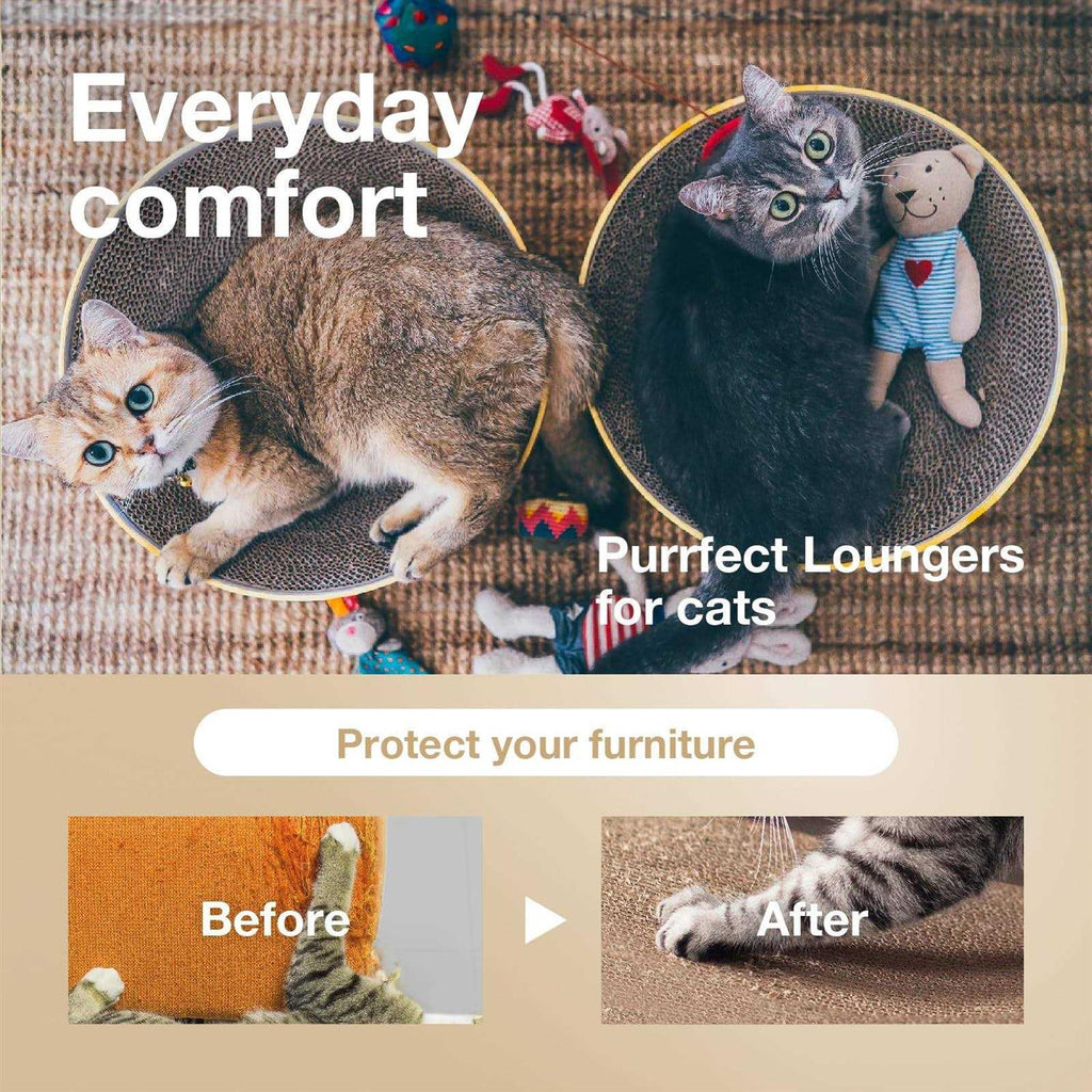 Cat Scratcher Bowl O597692