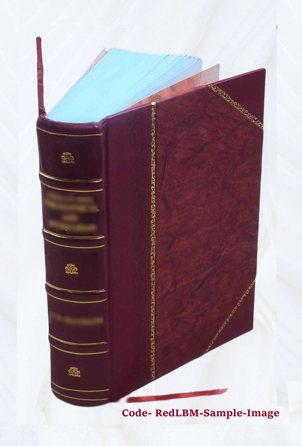 Répertoire de peintures du Moyen âge et de la Renaissance : 1280-1580. Tome 1 [Leather Bound] Z762