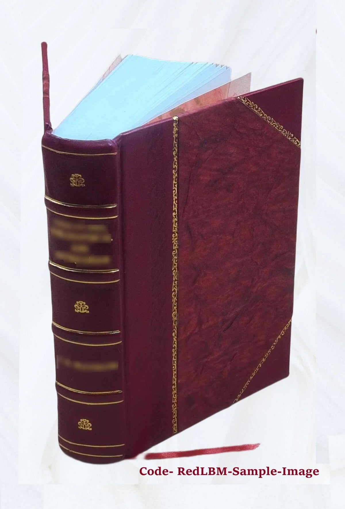 Répertoire de peintures du Moyen âge et de la Renaissance : 1280-1580. Tome 1 [Leather Bound] Z762