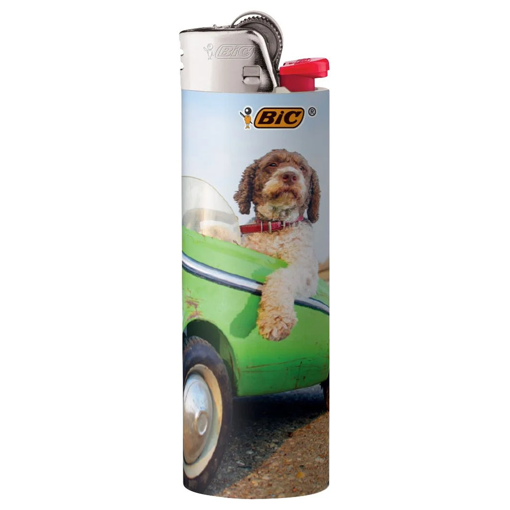 50-Count Maxi Pocket Lighters X42221