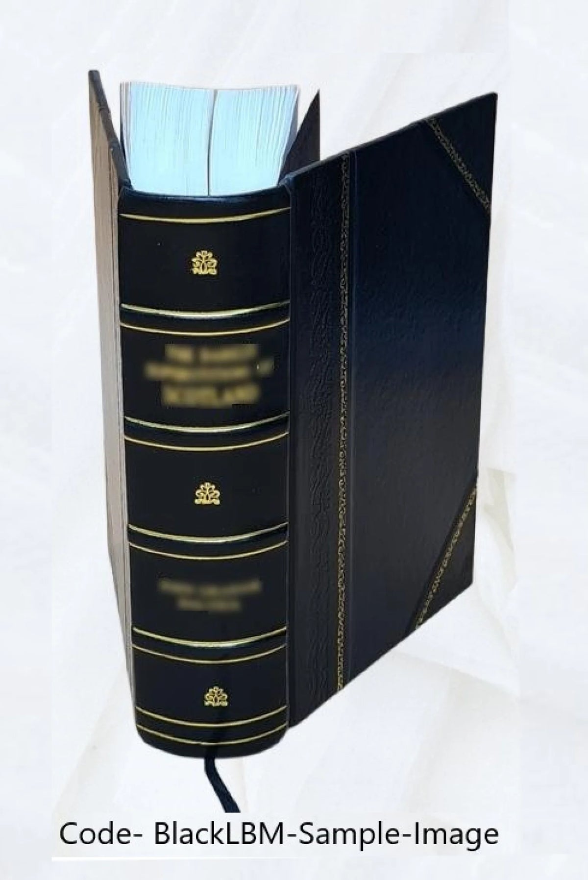 Répertoire de peintures du Moyen âge et de la Renaissance : 1280-1580. Tome 1 [Leather Bound] Z762
