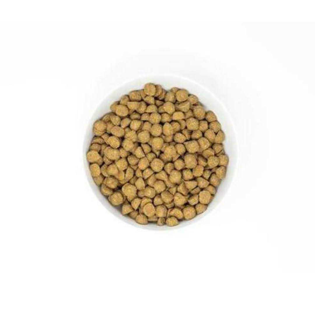Raw Coated Kibble with Wholesome Grains Dog N735410