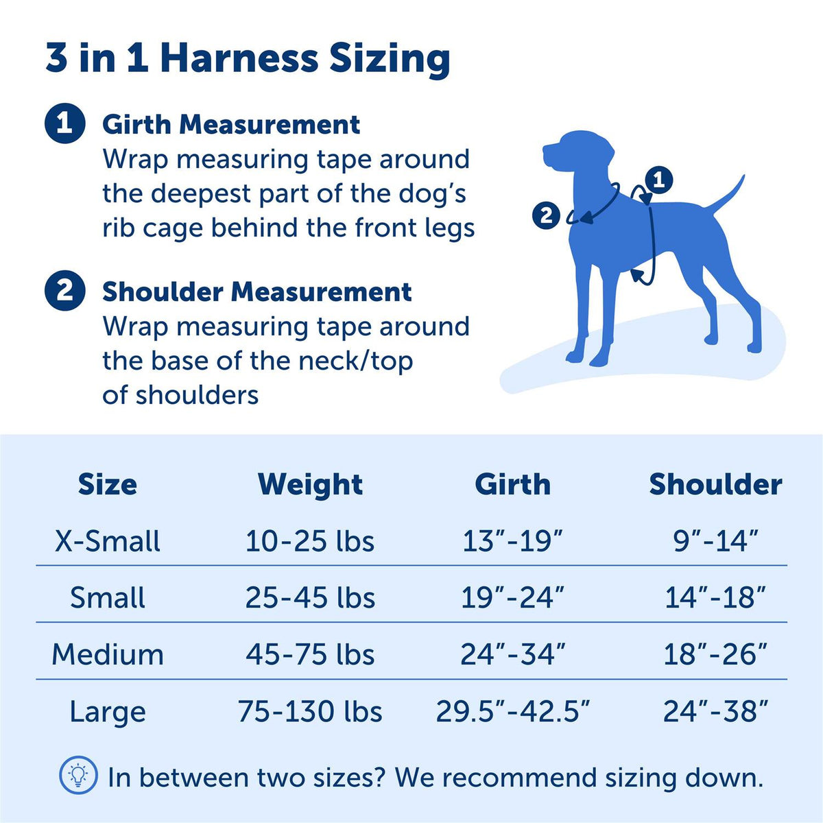 3 in 1 Harness N346490