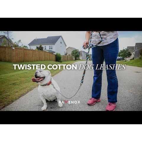 Dog Leash with Chain A70831