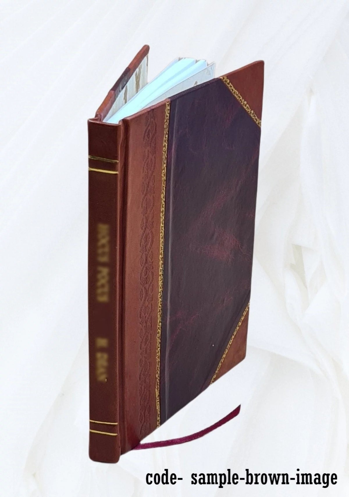 1887 Leather Bound R639