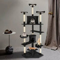 Black Cat Condo Z5247