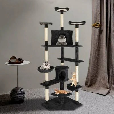 Black Cat Condo Z5247