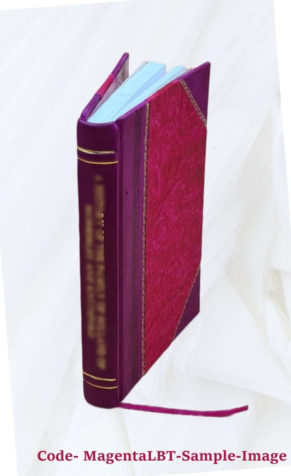 1887 Leather Bound R639