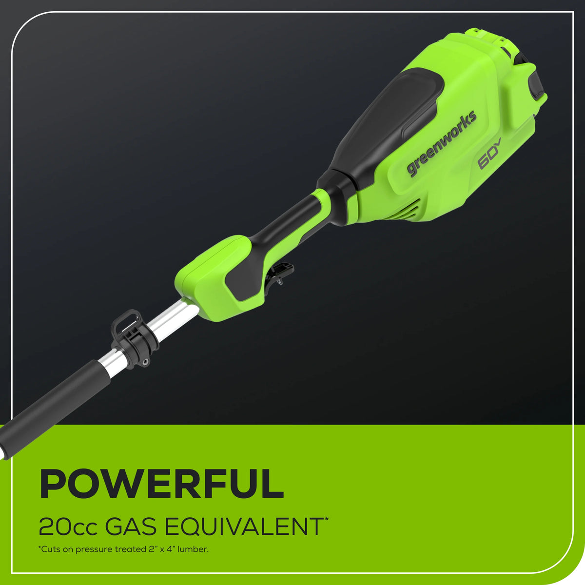 60V 10 Pole Saw with 2.0 Ah Battery & 3 Amp Charger J423038