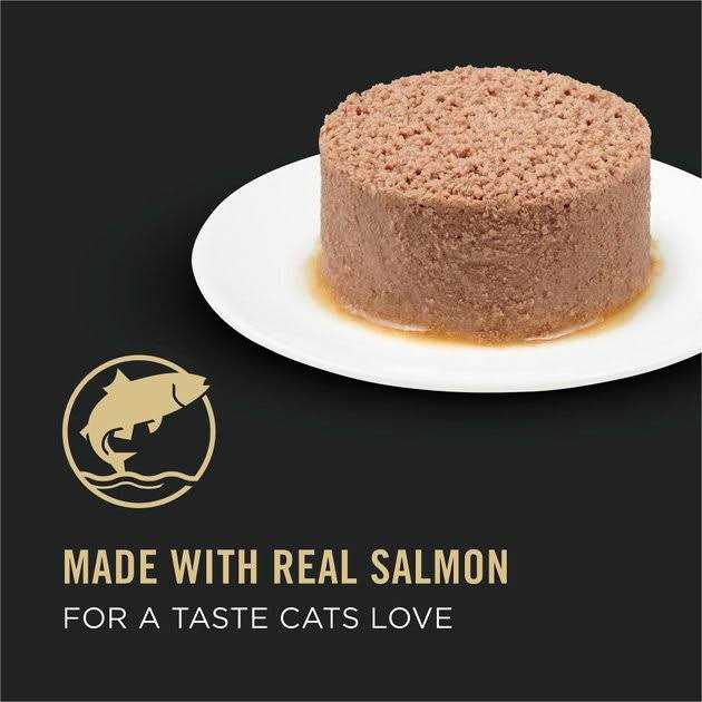 Hairball Control Wet Cat Food Pate F4916