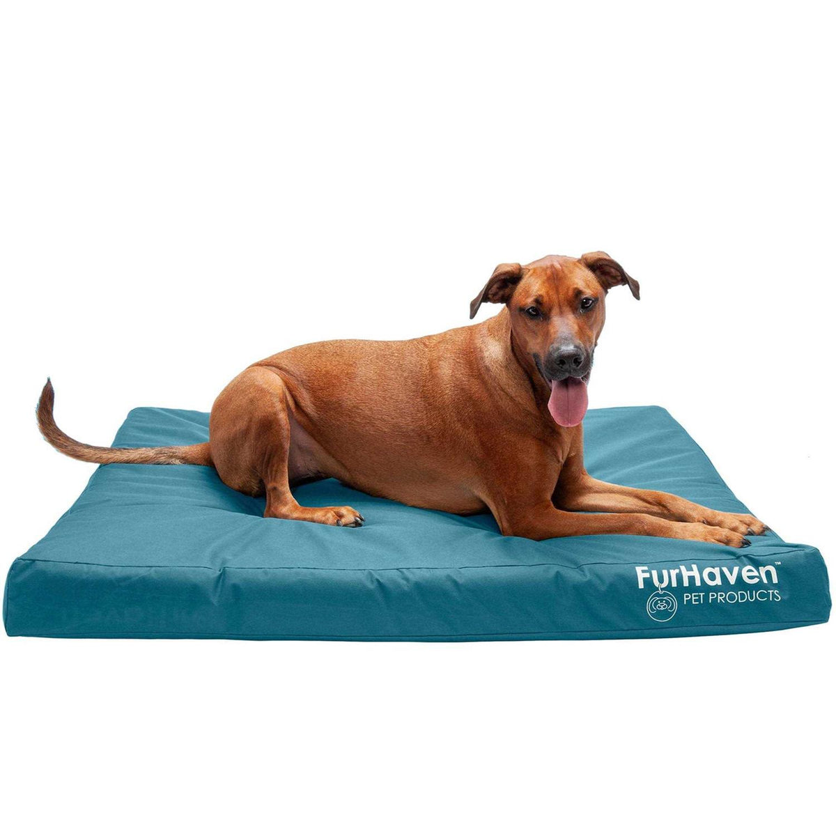 Dog Bed X406