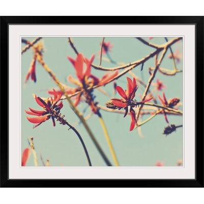 Black Frame Photographic Print D237