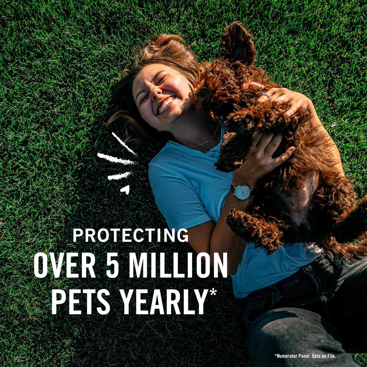 Flea and Tick Prevention for Large Dogs L75317