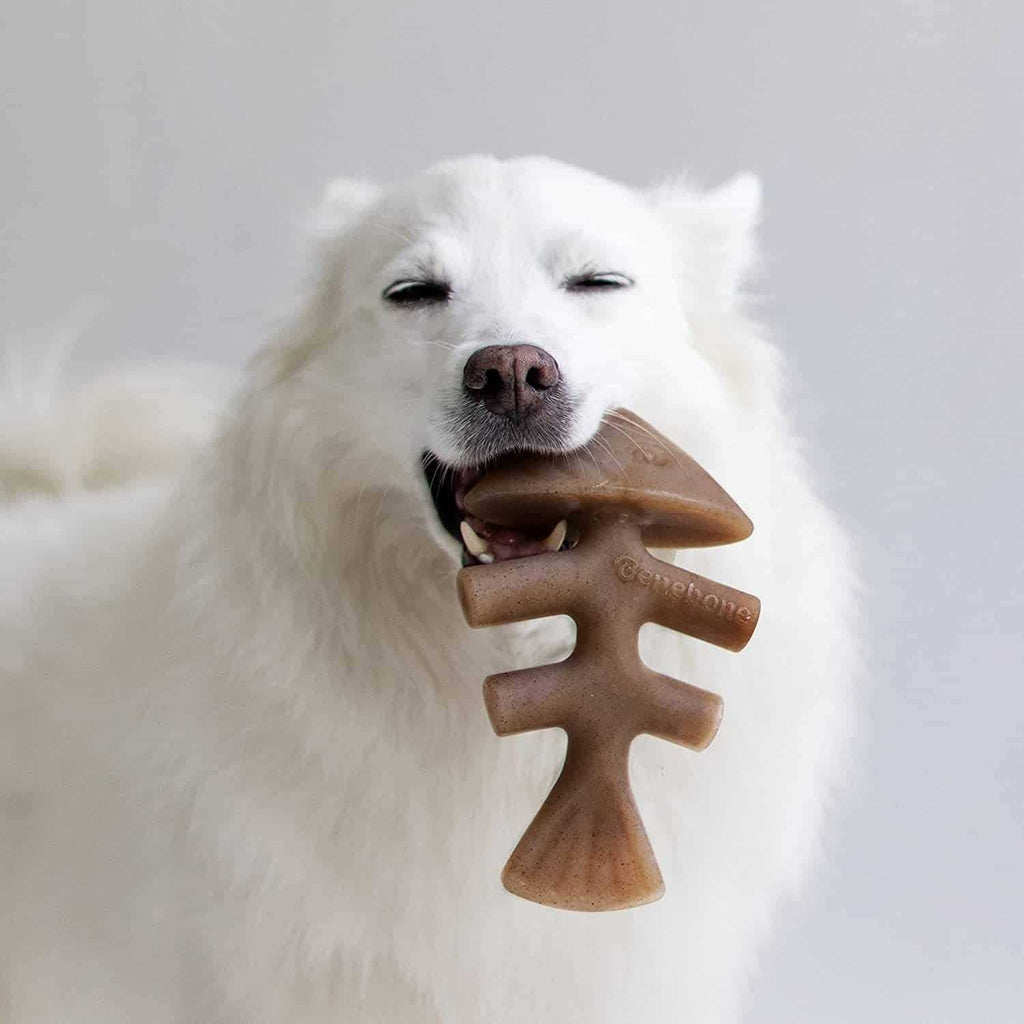 Fishbone Dog Chew U4603