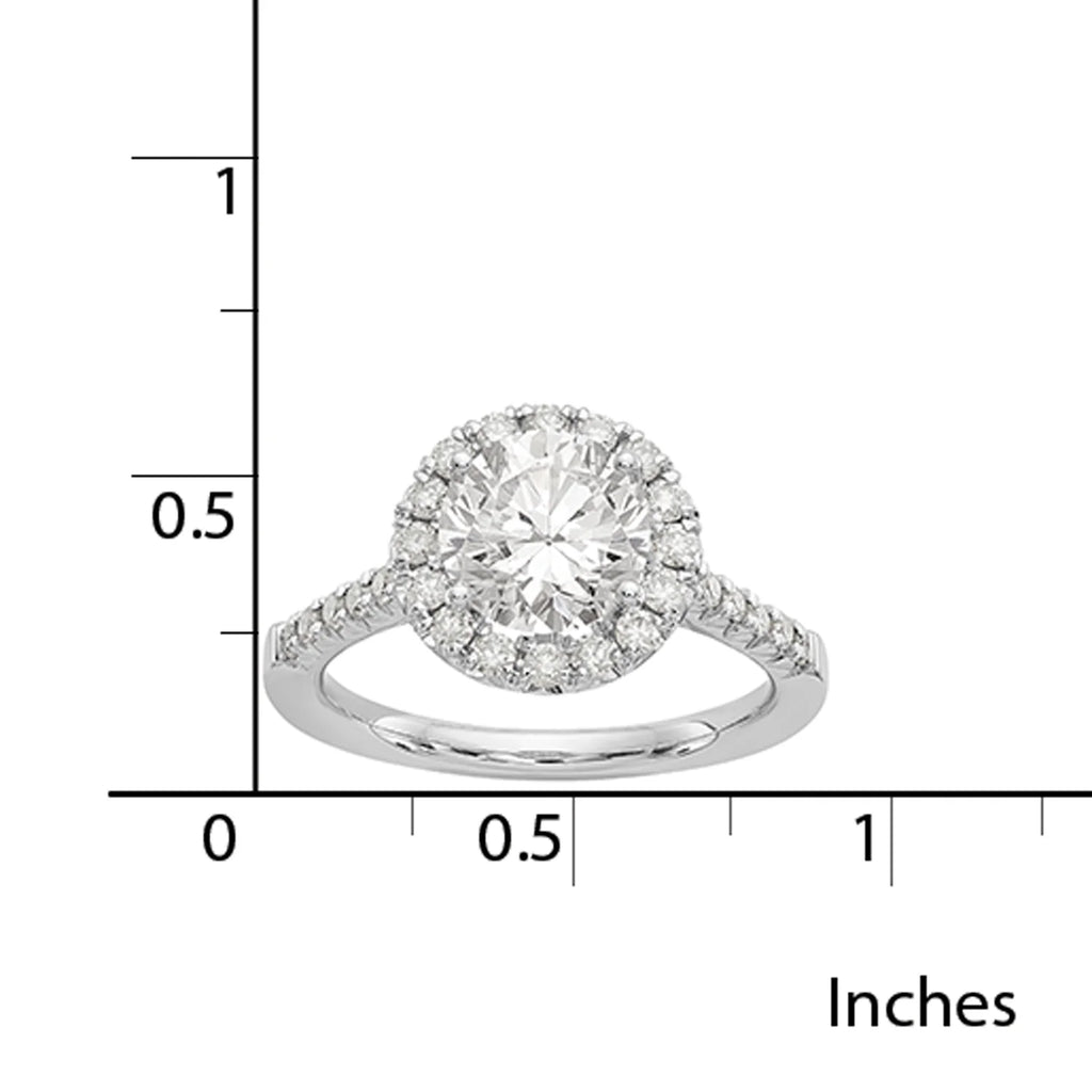 14 Karat White Gold Round Halo Moissanite Engagement Ring G7173