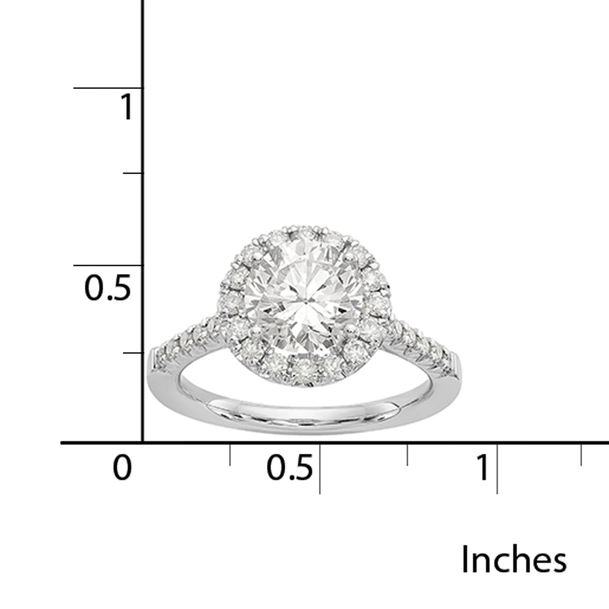 14 Karat White Gold Round Halo Moissanite Engagement Ring G7173
