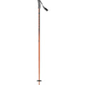 Ski Pole O426734