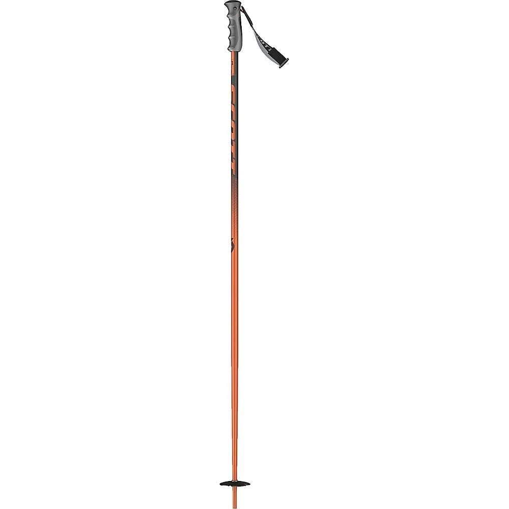 Ski Pole O426734